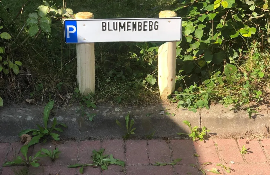 Blumenberg Ferienwohnung-1